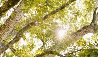 2778 SW Big Creek Dr, Bogue Chitto, MS 39629