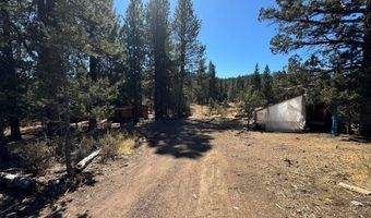 Whitetail Lane lot 12, Bonanza, OR 97623