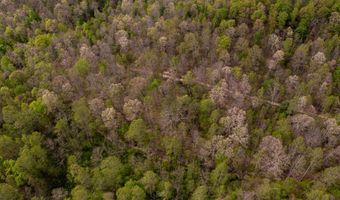 tbd9999 Wentworth School Road, Beattyville, KY 41311