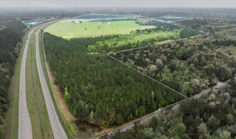 91801 U. S. Highway 98, Beaumont, MS 39423