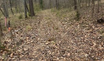 County Road 29, Alberta, AL 36720