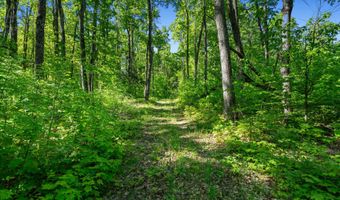 9707 Rogers Rd, Alanson, MI 49706