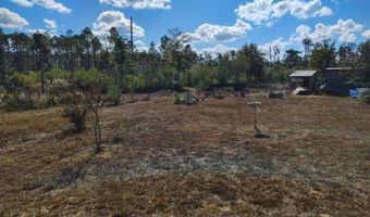 22884 NW Lake Mckinzie Blvd, Altha, FL 32421