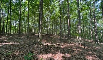 10 97 AC H R Huffer Ln, Allons, TN 38541