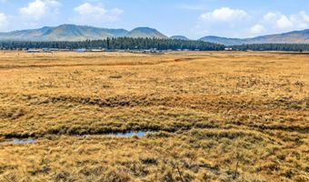 The Ranch at Alpine lot 23, Alpine, AZ 85920