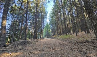 25 XX BURGESS Rd, Addy, WA 99101