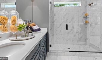 TBB HORNBEAM Drive unit St. Kitts St. Kitts, Frankford, DE 19945