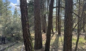 Thunder Bear Road, Bonanza, OR 97623