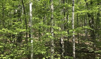 David Thompson Drive lot 10, Campton, NH 03223
