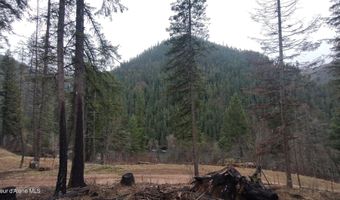 480 Dunn Peak Rd, Avery, ID 83802