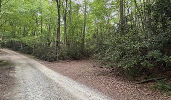 Warrior Way lot 9 & 17, Andrews, NC 28901
