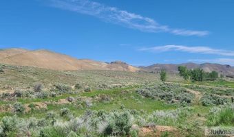 6 Homestead Trl, Challis, ID 83226