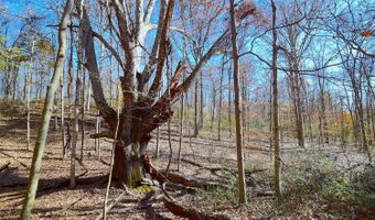 0 State Route 550, Amesville, OH 45711