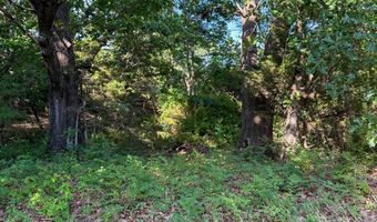 Co Rd 539, Ava, MO 65629