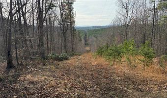 Lime Plant Road lot 6, Appomattox, VA 24522