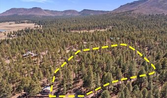County Road 2325, Alpine, AZ 85920