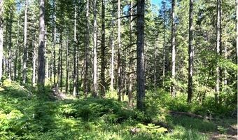 Tunnel Tract Parcel3, Banks, OR 97106