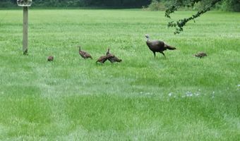 27890 S D Dr S, Albion, MI 49224