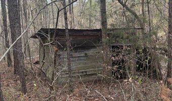 Hwy 9, Blue Springs, MS 38828