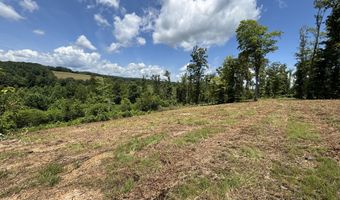 626 Sportsman Ln, Andersonville, TN 37705
