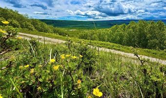 Arlie Tract lot 8, Babb, MT 59411
