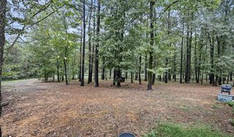 11882 E Old Belleville Rd, Belleville, AR 72824