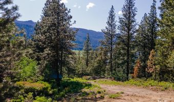 464 Collier View Rd, Cascade, ID 83611