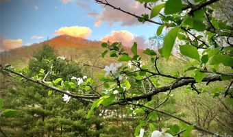 3 Taproot Trl, Barnardsville, NC 28709
