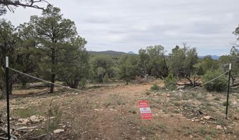 61 Raney Rd, Ash Fork, AZ 86320