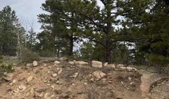 Mockingbird Trail, Bailey, CO 80421