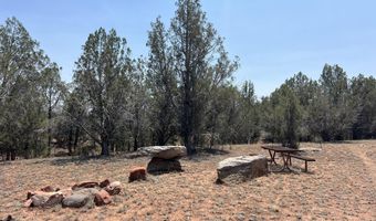 164 Rattlesnake Rd, Ash Fork, AZ 86320