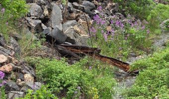 223 Kings Canyon Rd, Bellvue, CO 80512