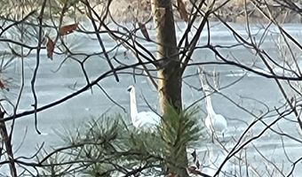 SWAN BAY Road 6, Amberg, WI 54102