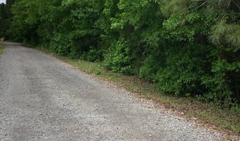 445 McQueen Rd, Bennettsville, SC 29512