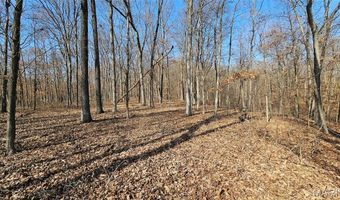 205 Hemsath Rd, Augusta, MO 63332