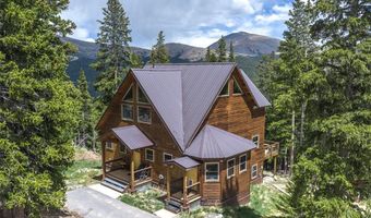 62 Lazy Rex Rd, Alma, CO 80440