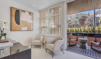 708 E Hyman Ave, Aspen, CO 81611