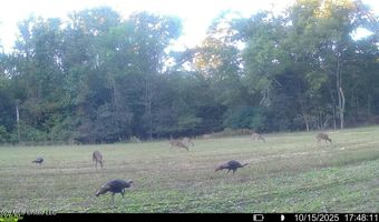 425 Rose Hill Rd, Bentonia, MS 39040