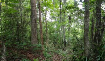 Lot 10 Booster Club Road, Bainbridge, GA 39819