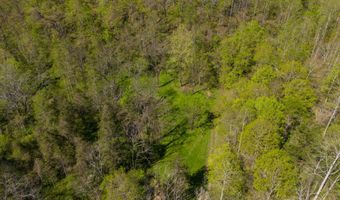 22 Still Hand Ln, Beattyville, KY 41311