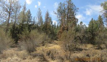 Tiger Lane lot 2, Bonanza, OR 97623