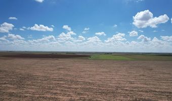 Shepard St, Abernathy, TX 79311