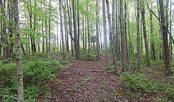 15252 27 Mile Rd, Albion, MI 49224