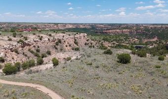 7701 Canyon Bend Rd, Amarillo, TX 79118