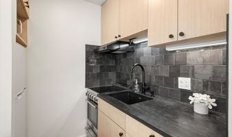 725 E Main St 107, Aspen, CO 81611