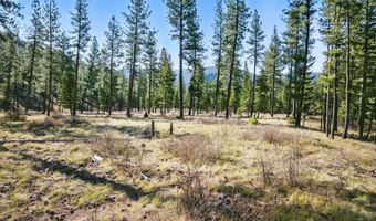13902 Highland Trl, Alberton, MT 59820