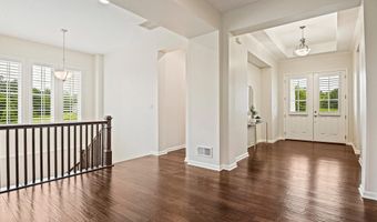 25801 YELLOW BIRCH Ct, Aldie, VA 20105