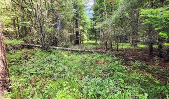 13727 Big Hawk Dr, Bigfork, MT 59911