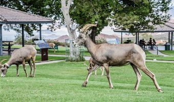 687 Marina Dr 39, Boulder City, NV 89005