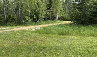 Parcel 4 Wreck Road, Alpena, MI 49707